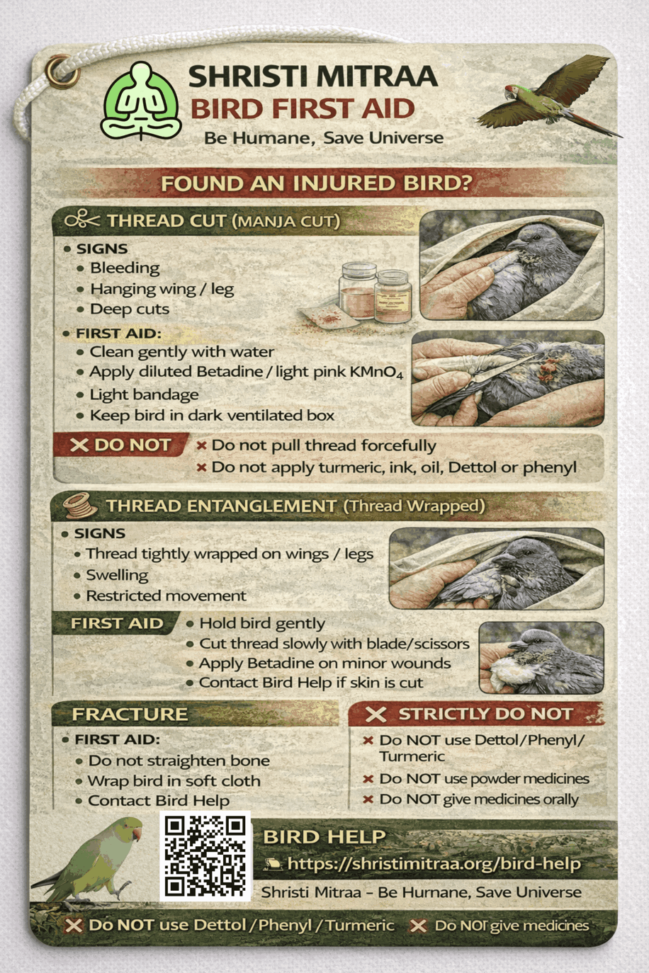 Shristi Mitraa Bird First Aid Tag Poster