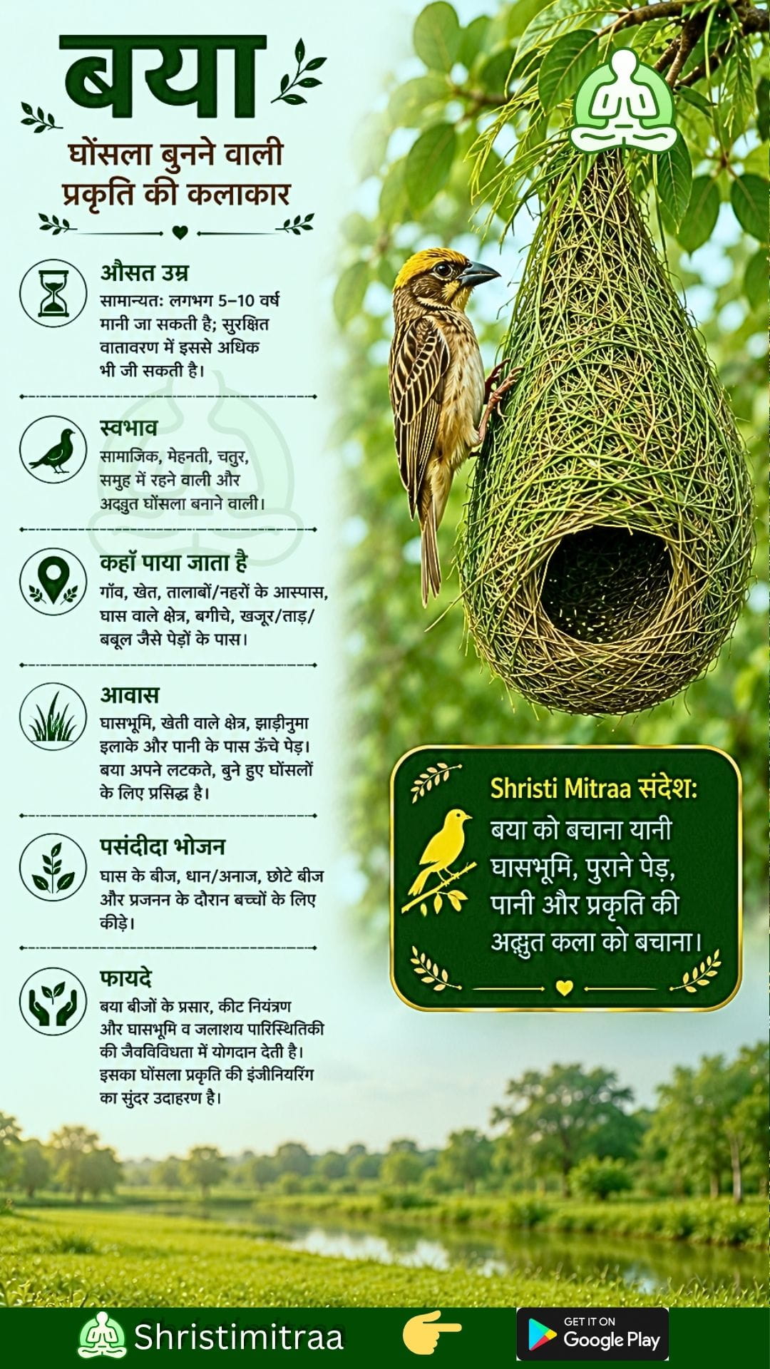 बया