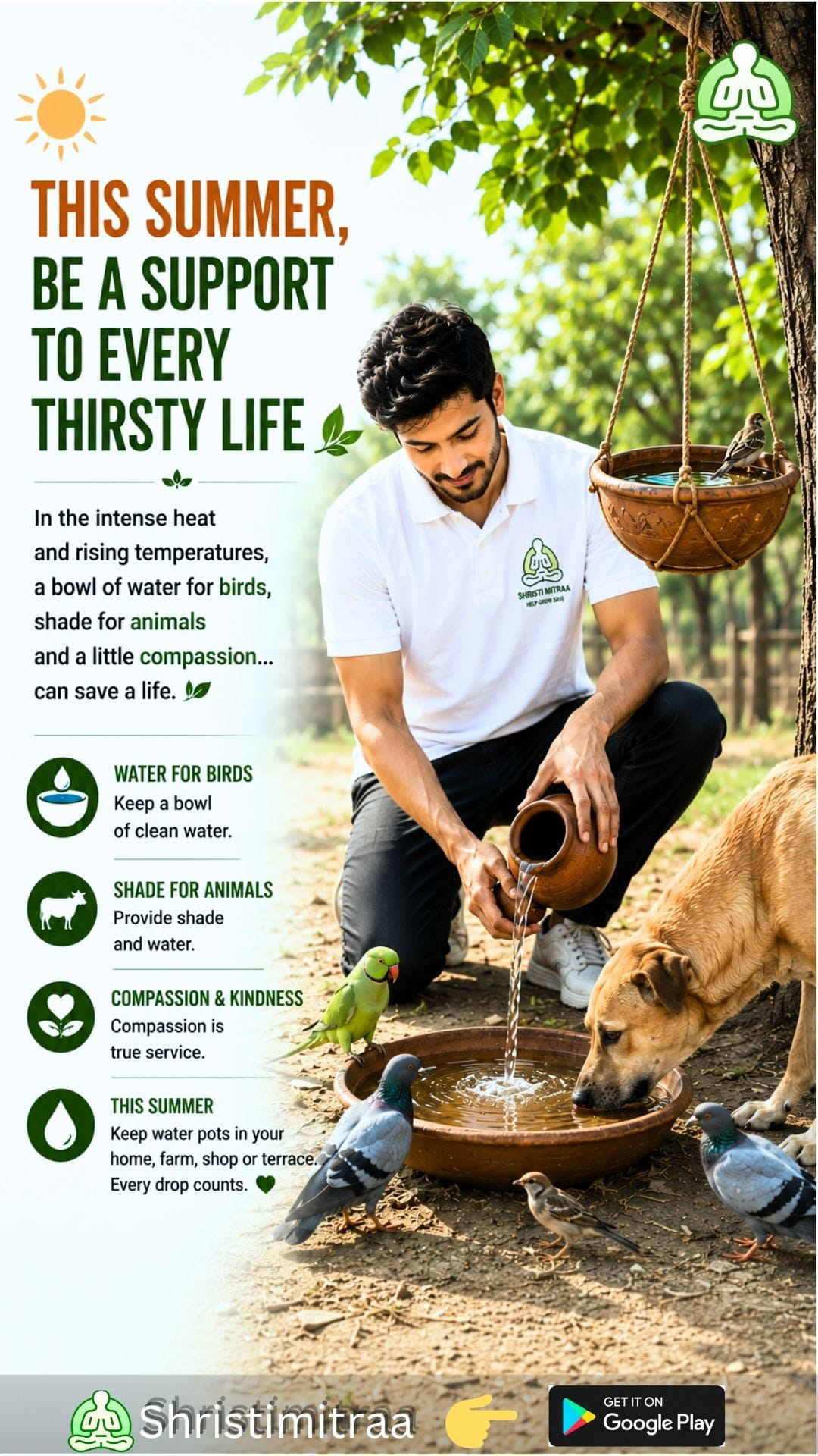 Be a Lifeline This Summer 💧🕊️