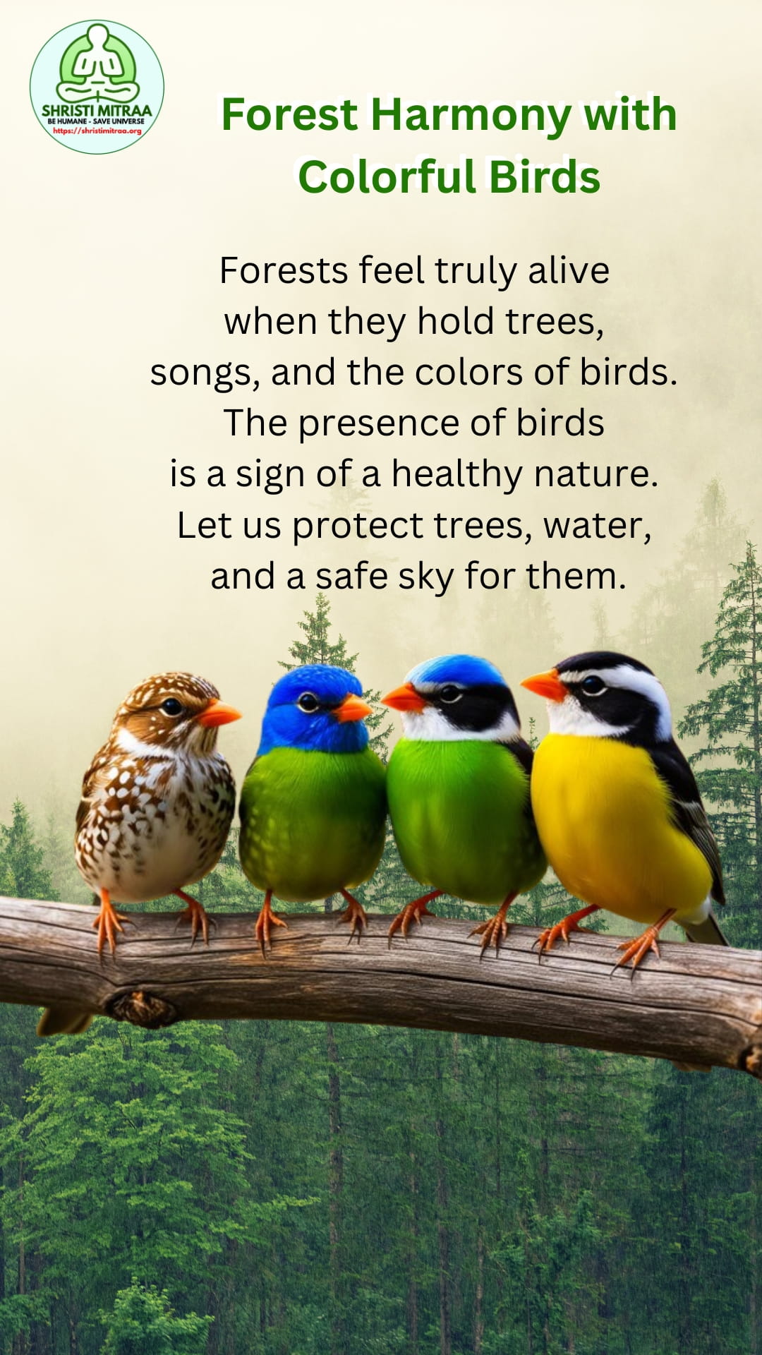 Forest Harmony with Colorful Birds