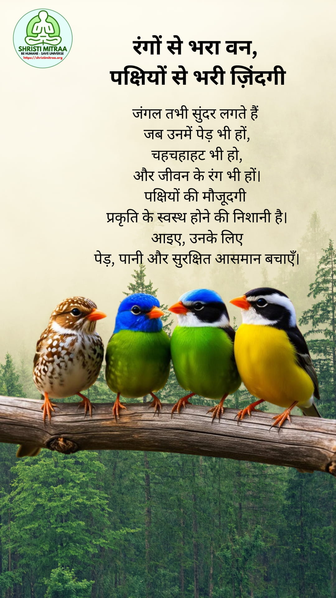 रंगों से भरा वन, पक्षियों से भरी ज़िंदगी