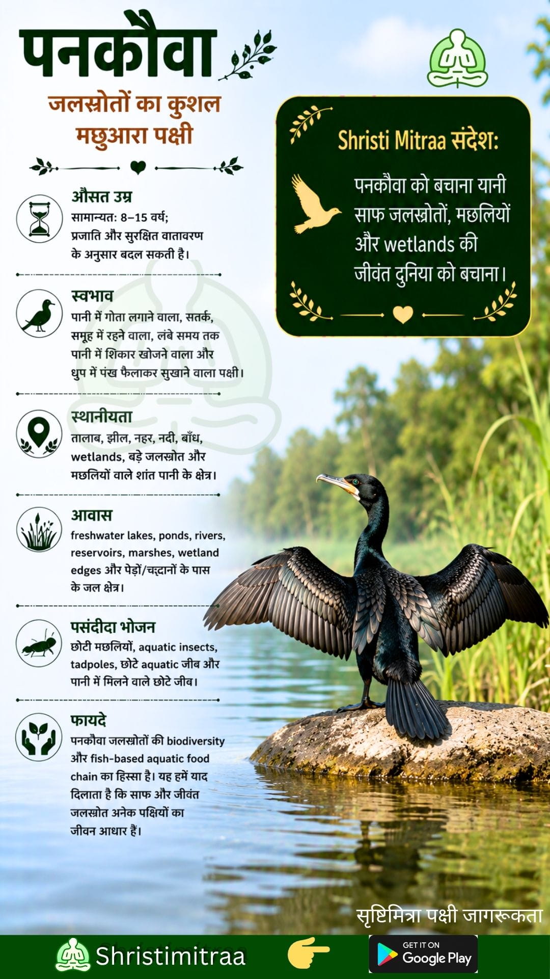 जलकाग