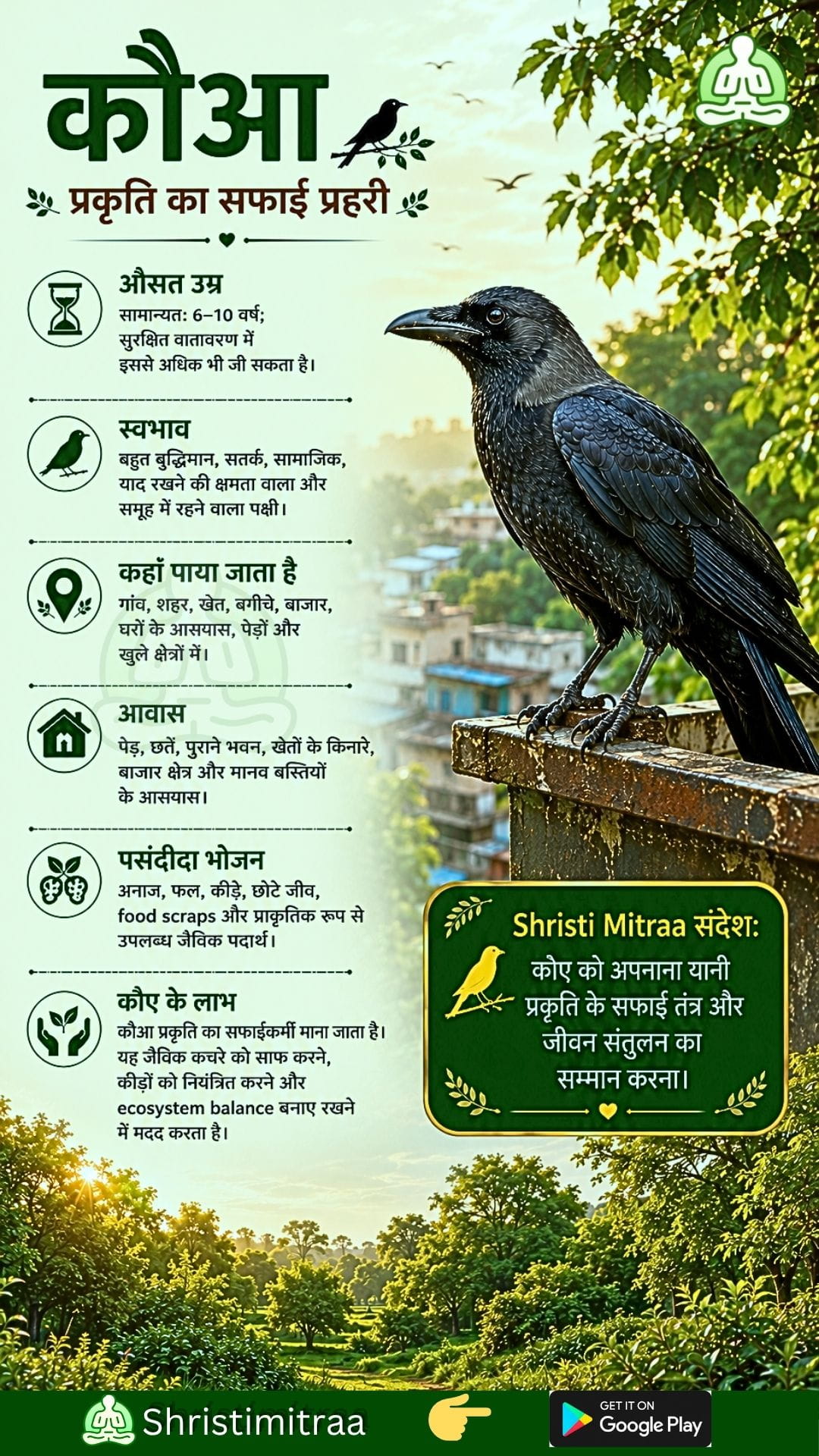 कौआ