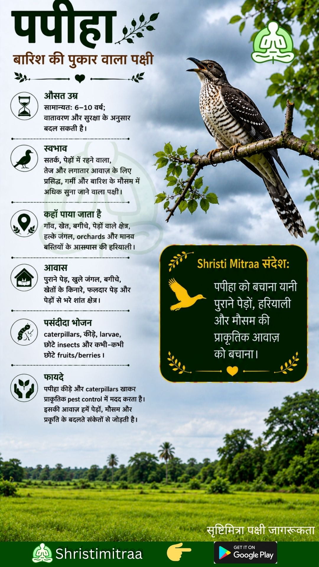 पपीहा