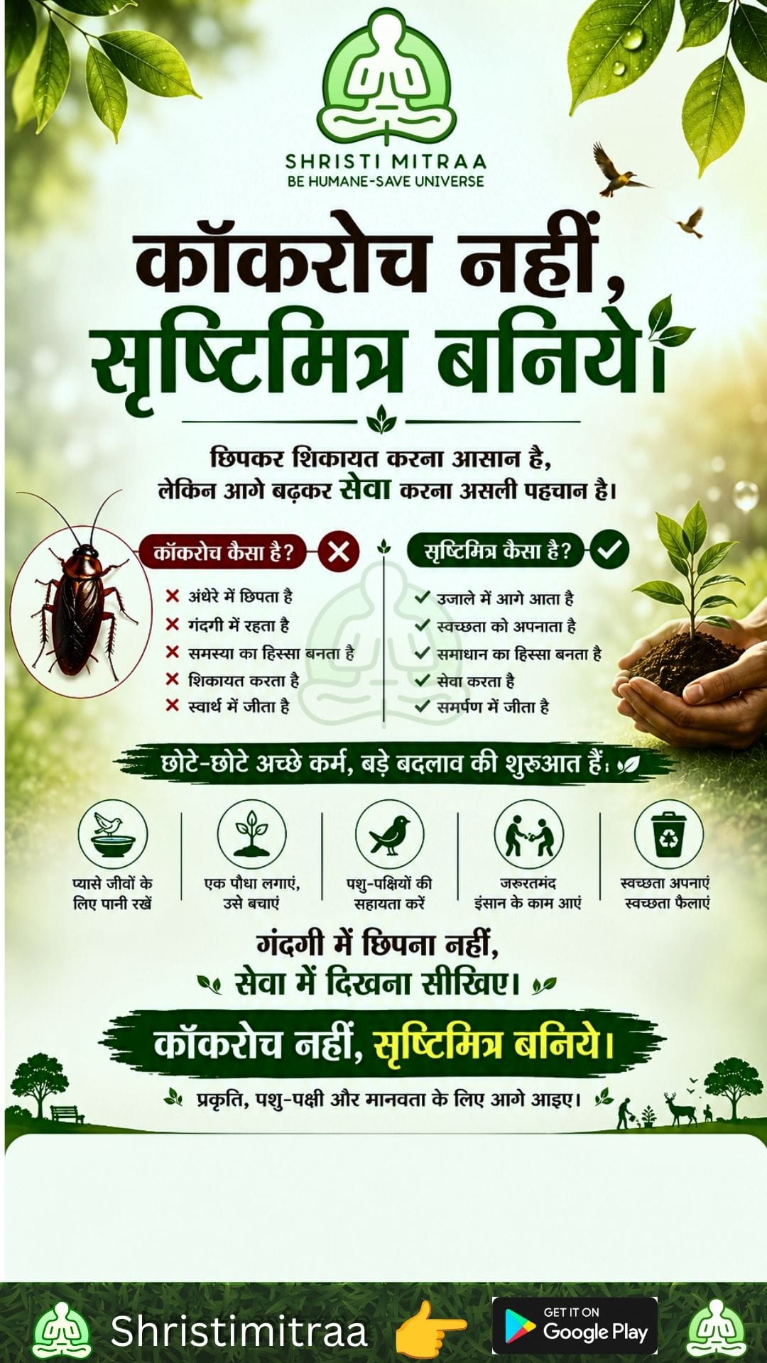 कॉकरोच नहीं, सृष्टिमित्र बनिये