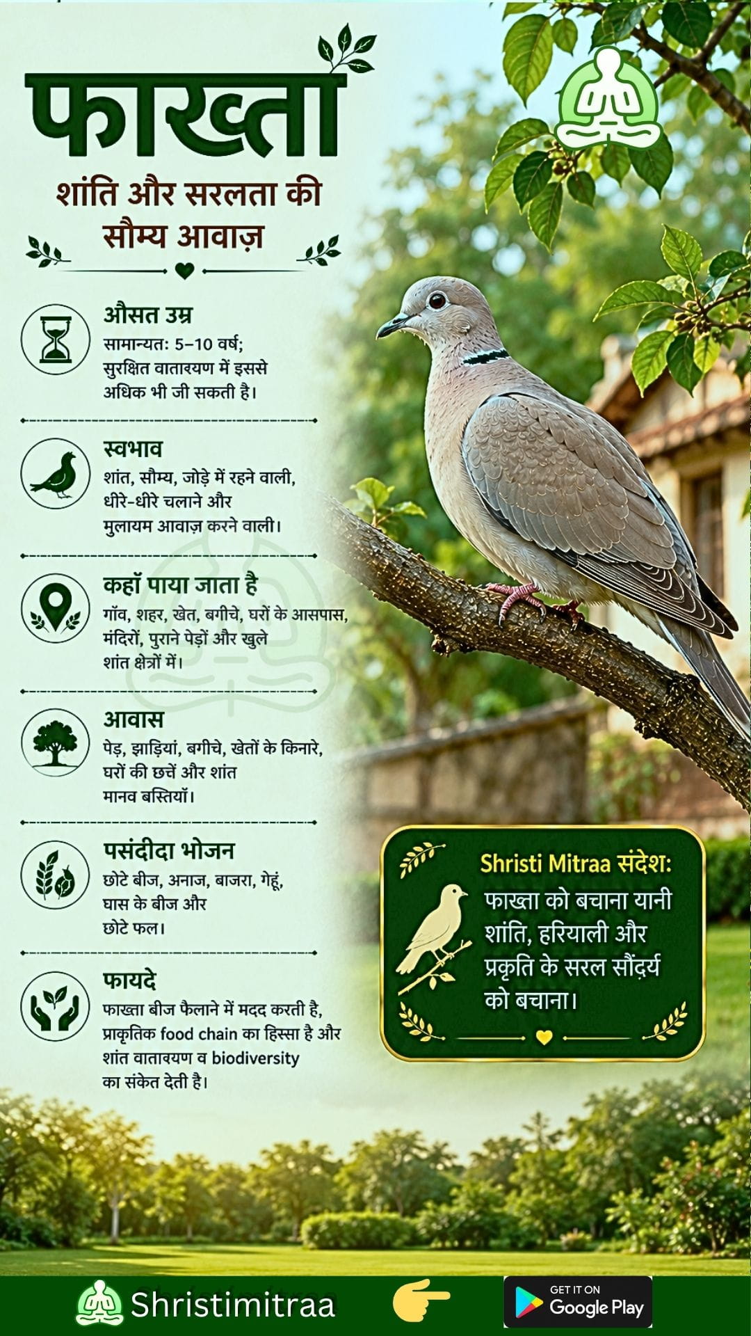 फाख्ता
