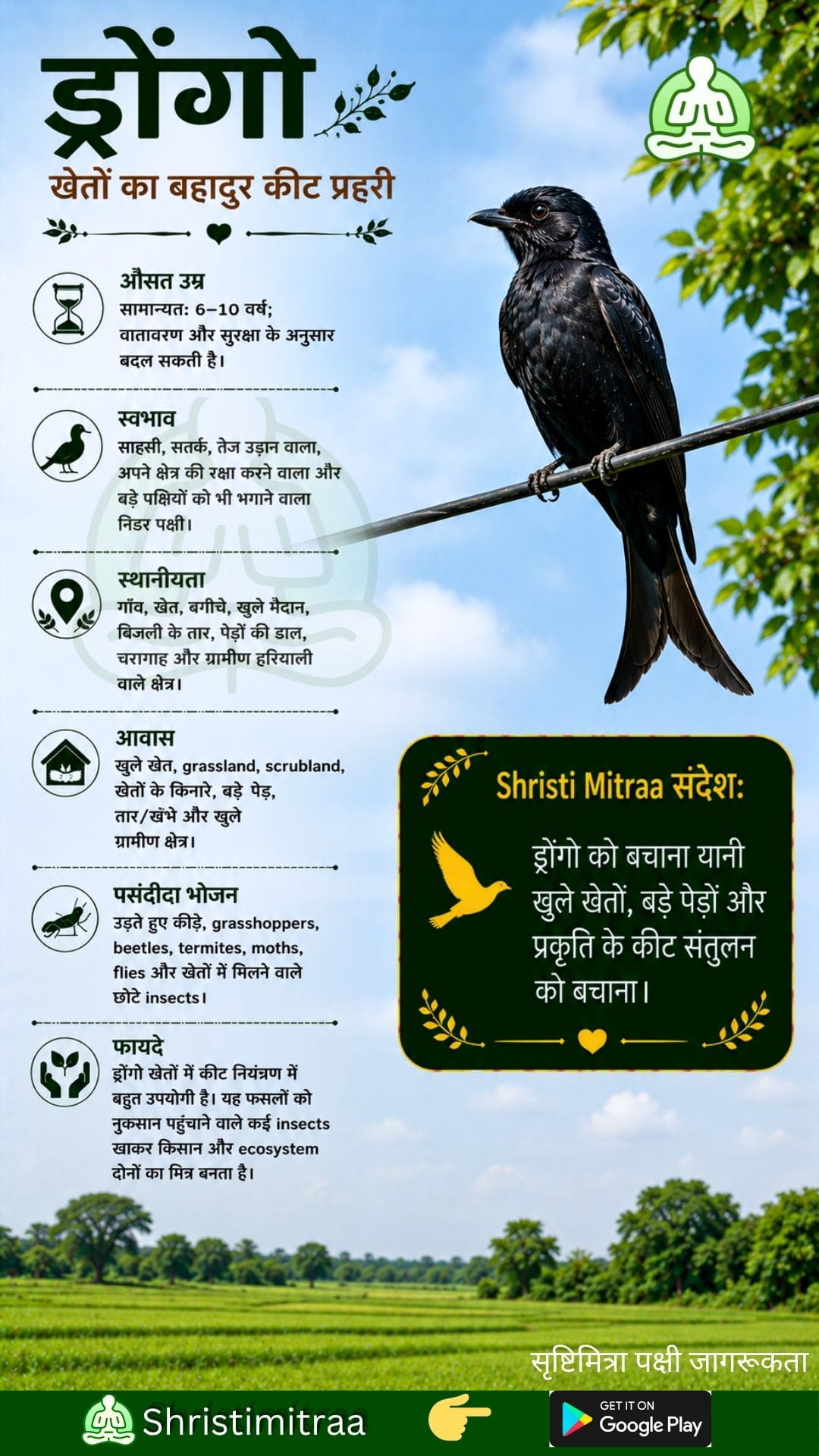 ड्रोन्गो