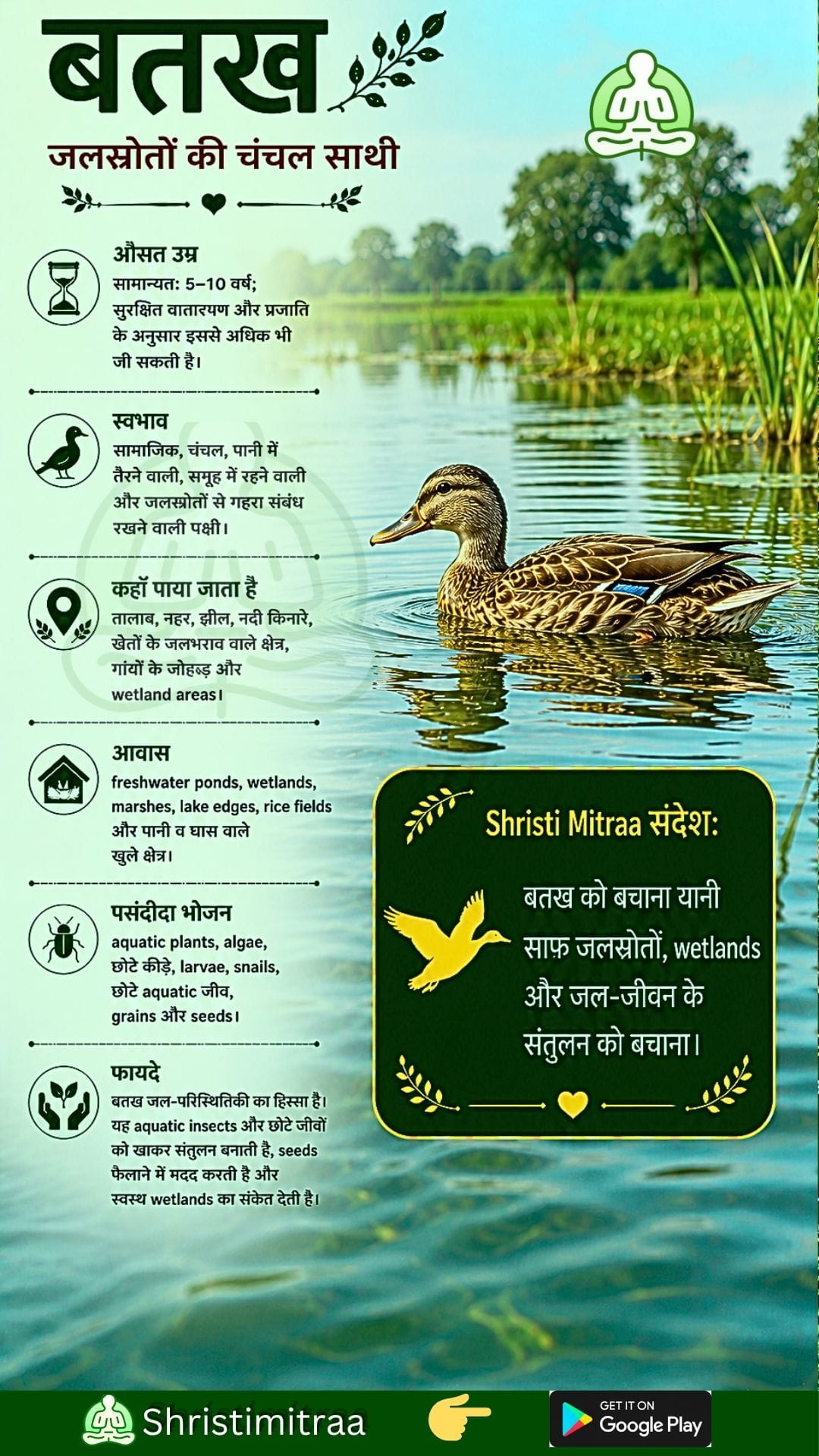 बतख