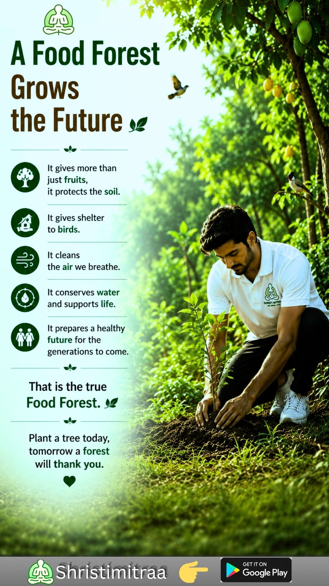 Food Forest Grows the Future
