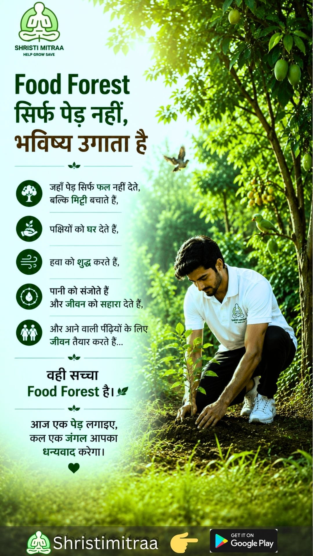 फ़ूड फ़ॉरेस्ट भविष्य को बढ़ाता है