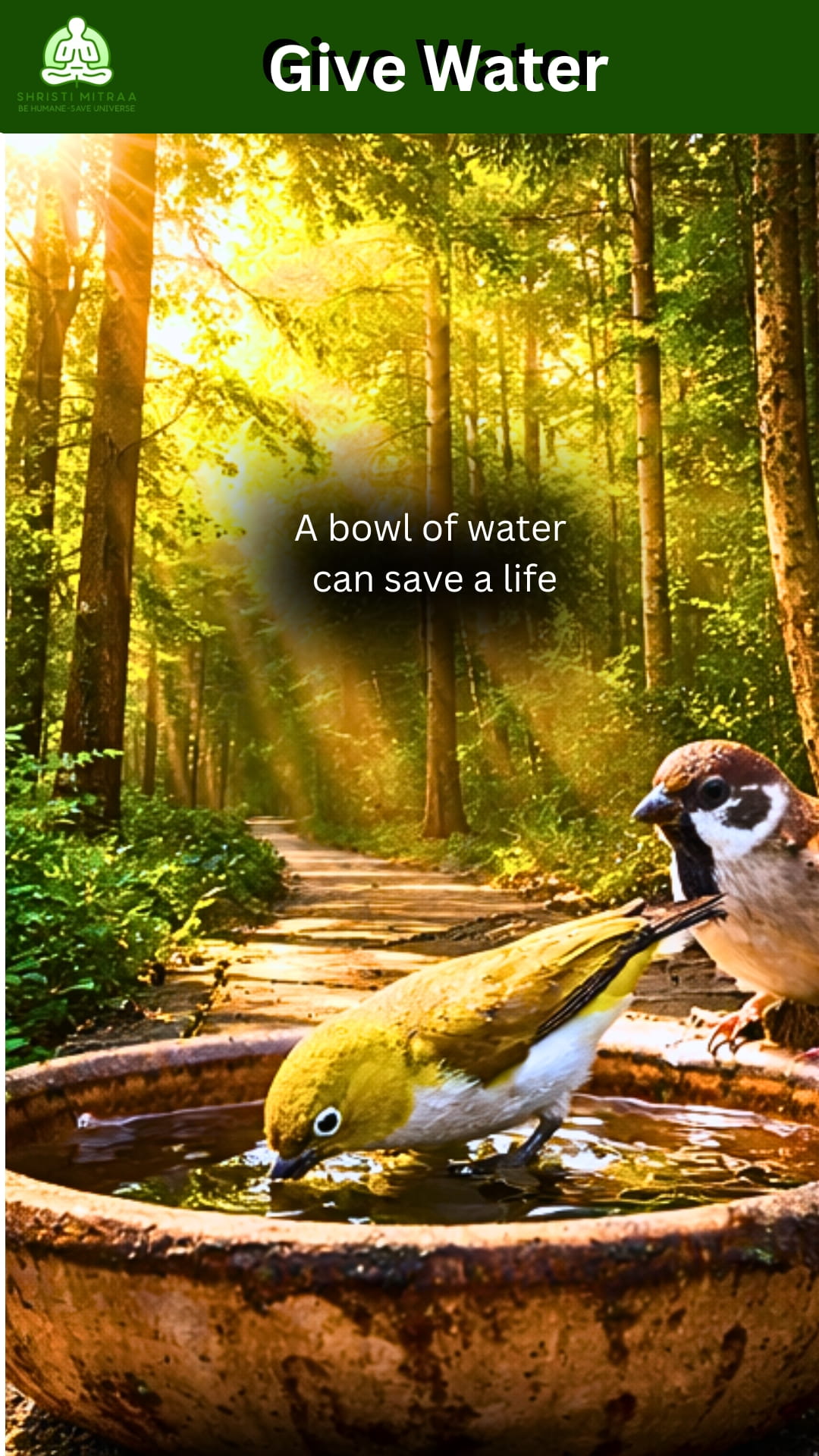 Give Water