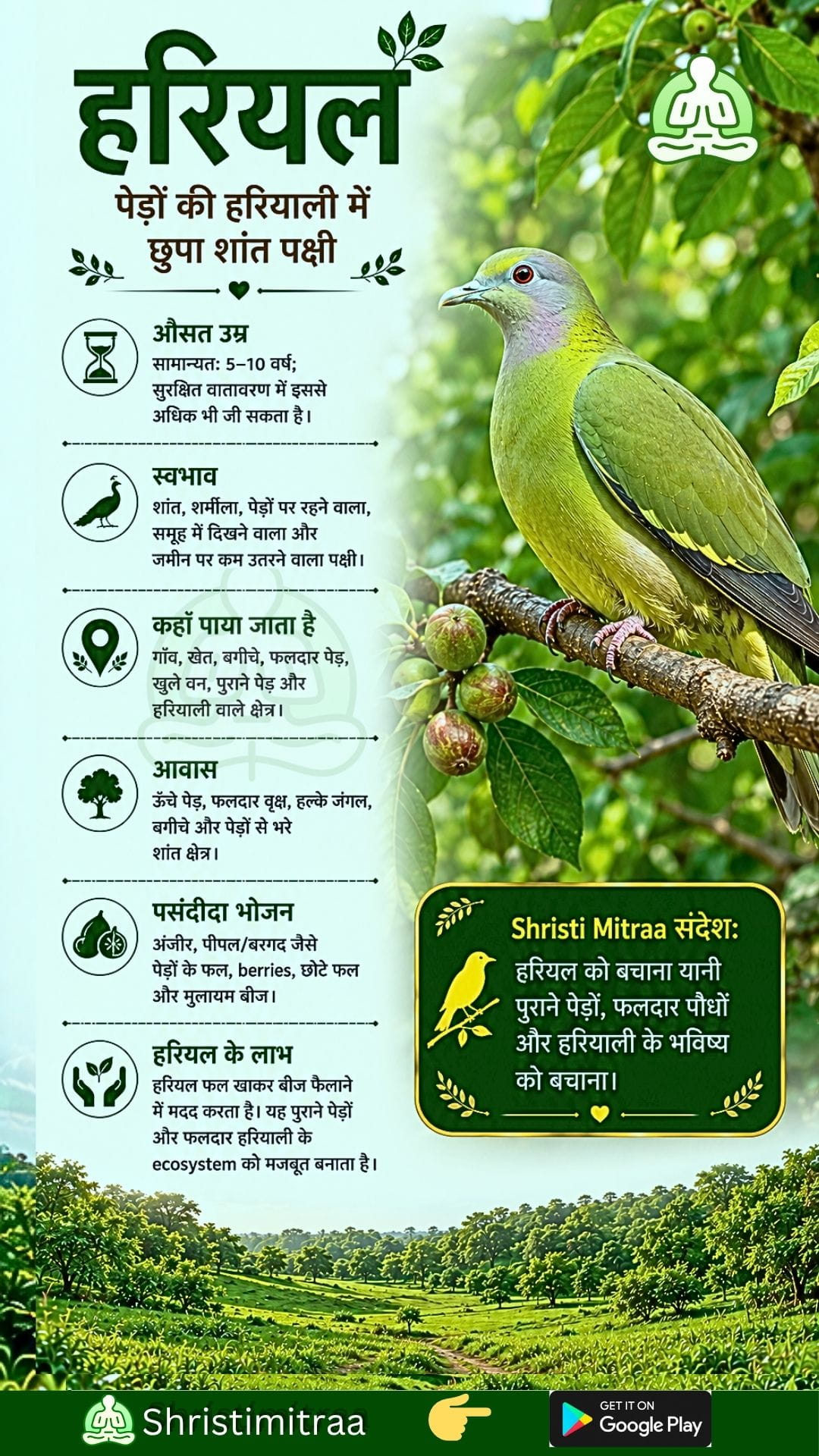 हरियल