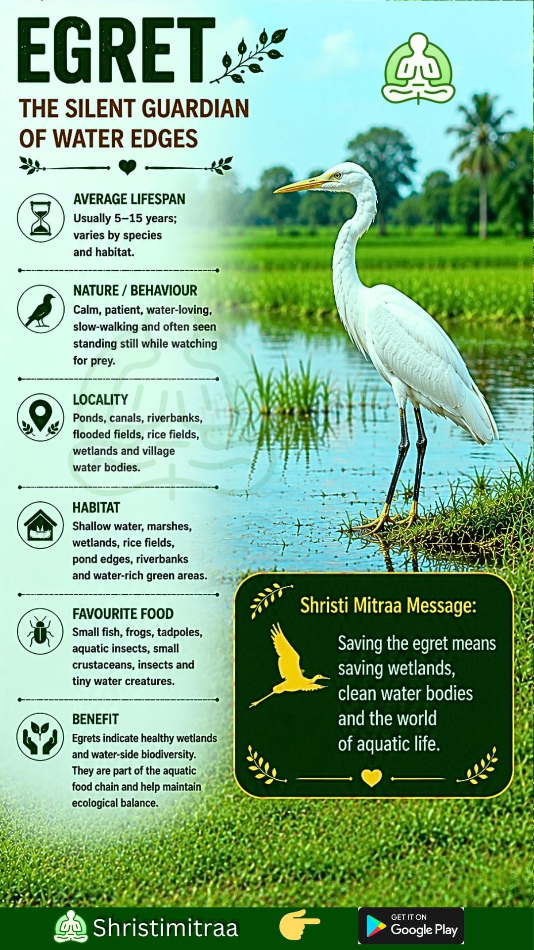Heron