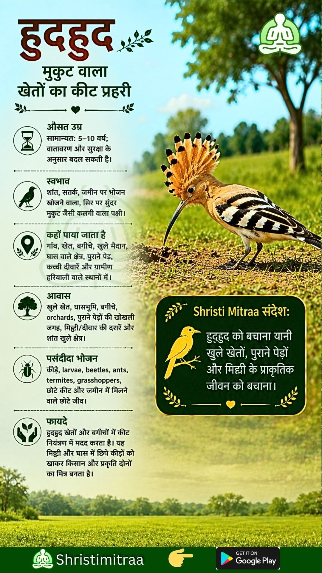 हुदहुद