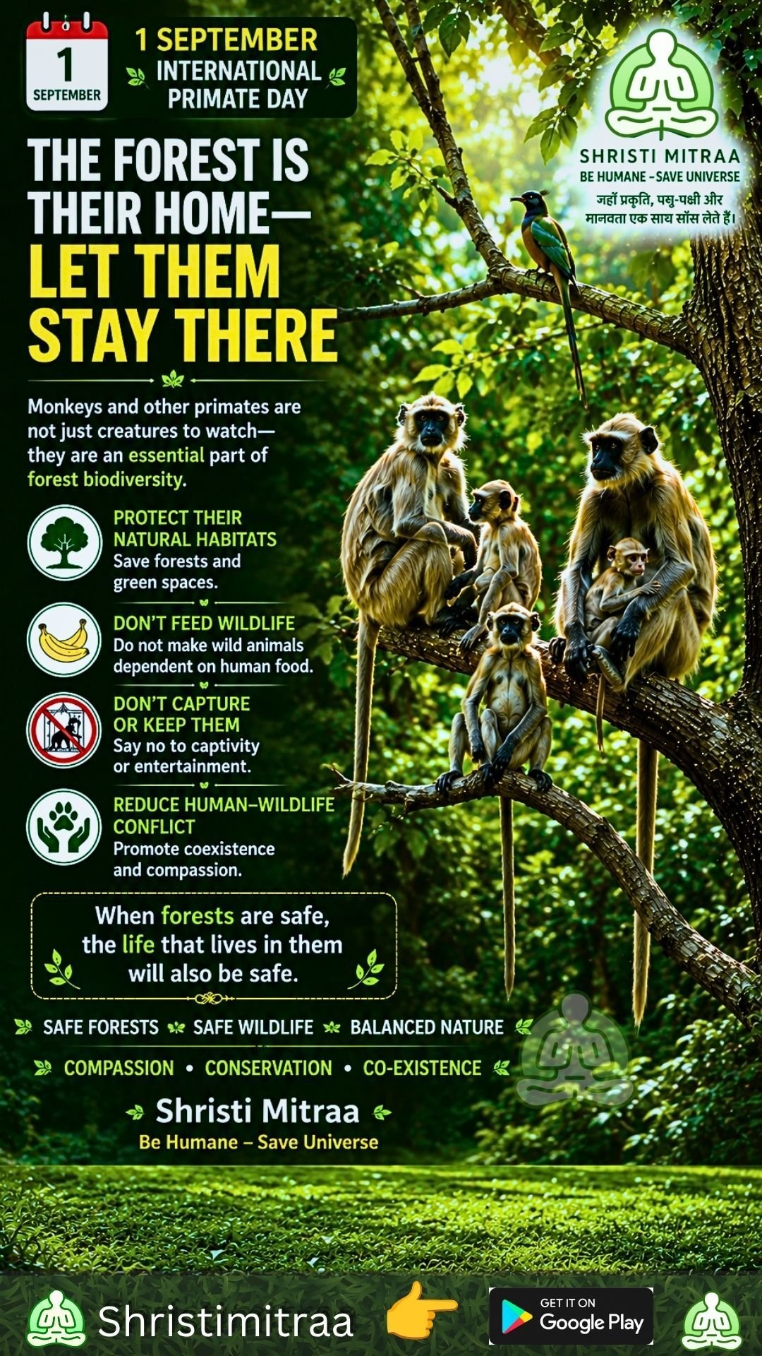 September 1 | International Primate Day