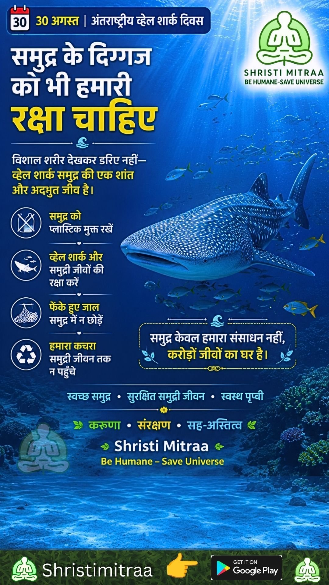 30 अगस्त - अंतरराष्ट्रीय व्हेल शार्क दिवस