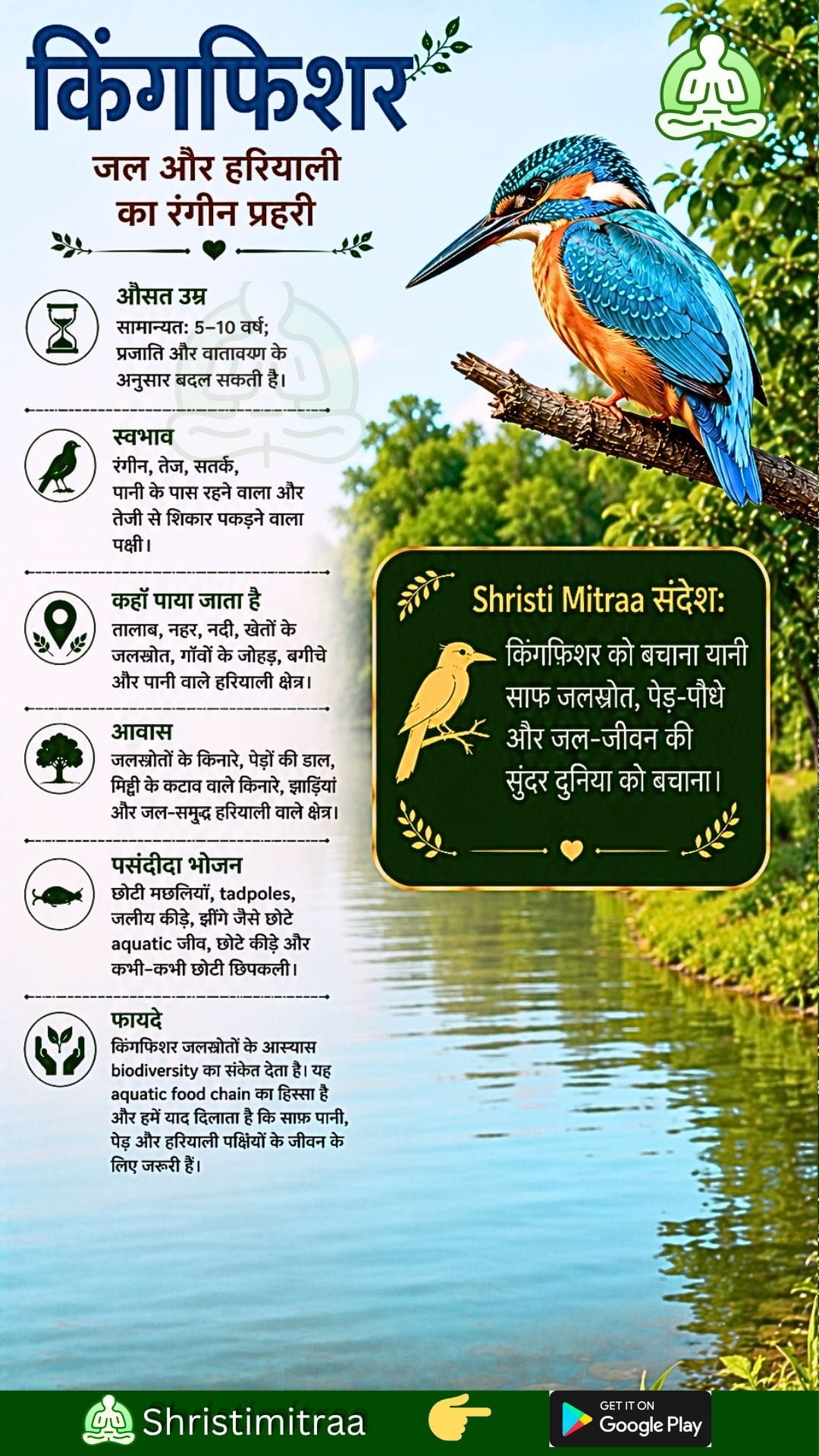किंगफिशर