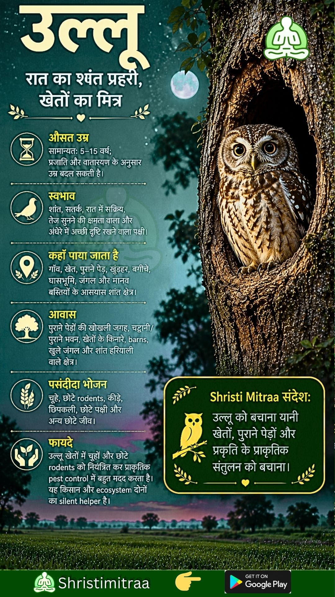 उल्लू