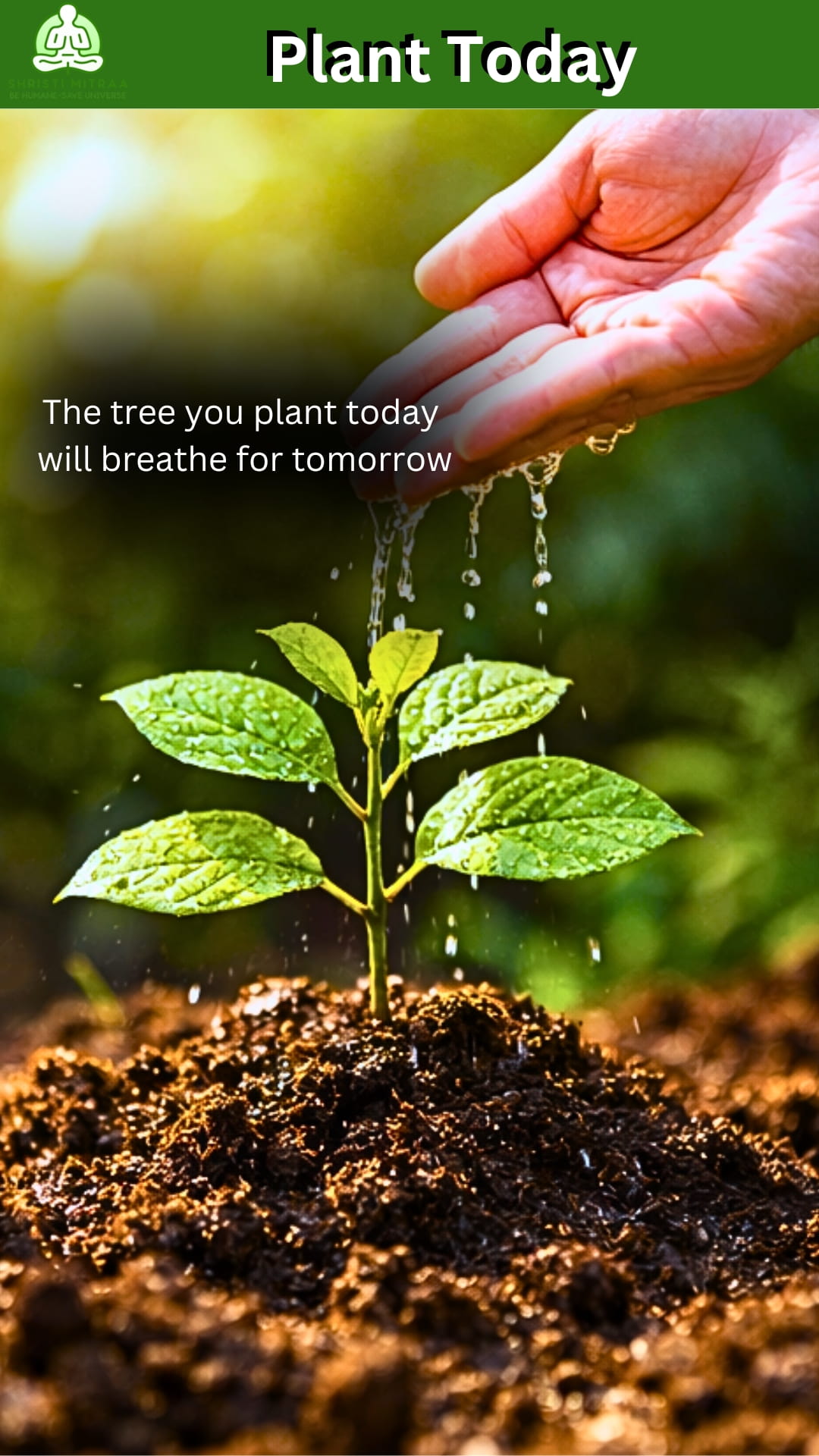 Plant today