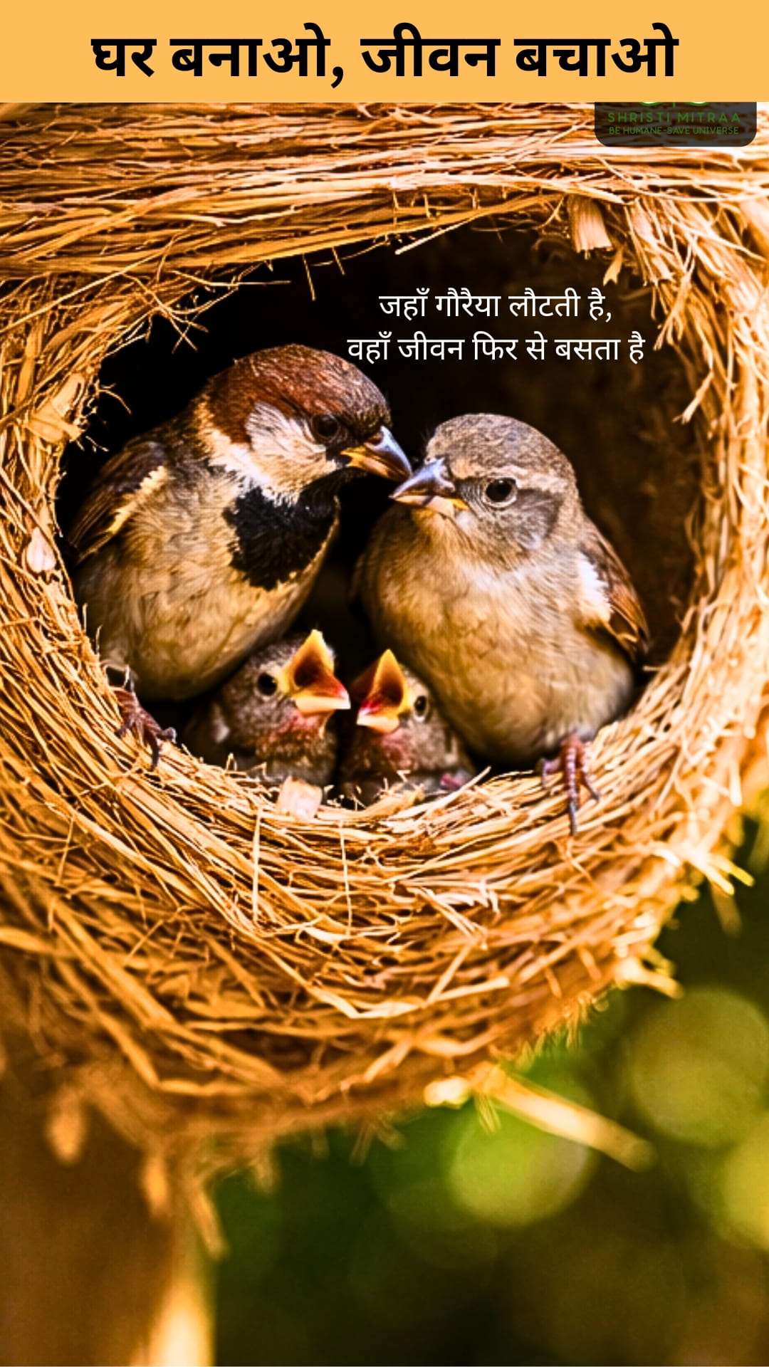 गौरैया बचाओ