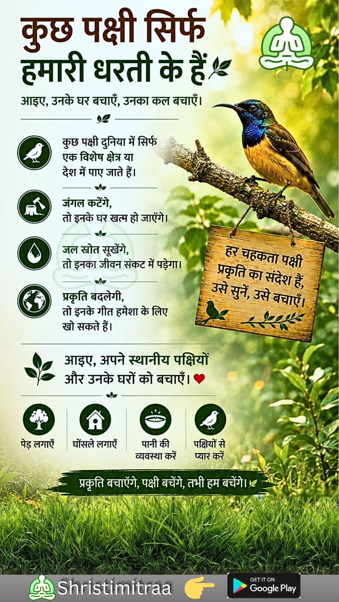 कुछ पक्षी सिर्फ हमारी धरती के हैं