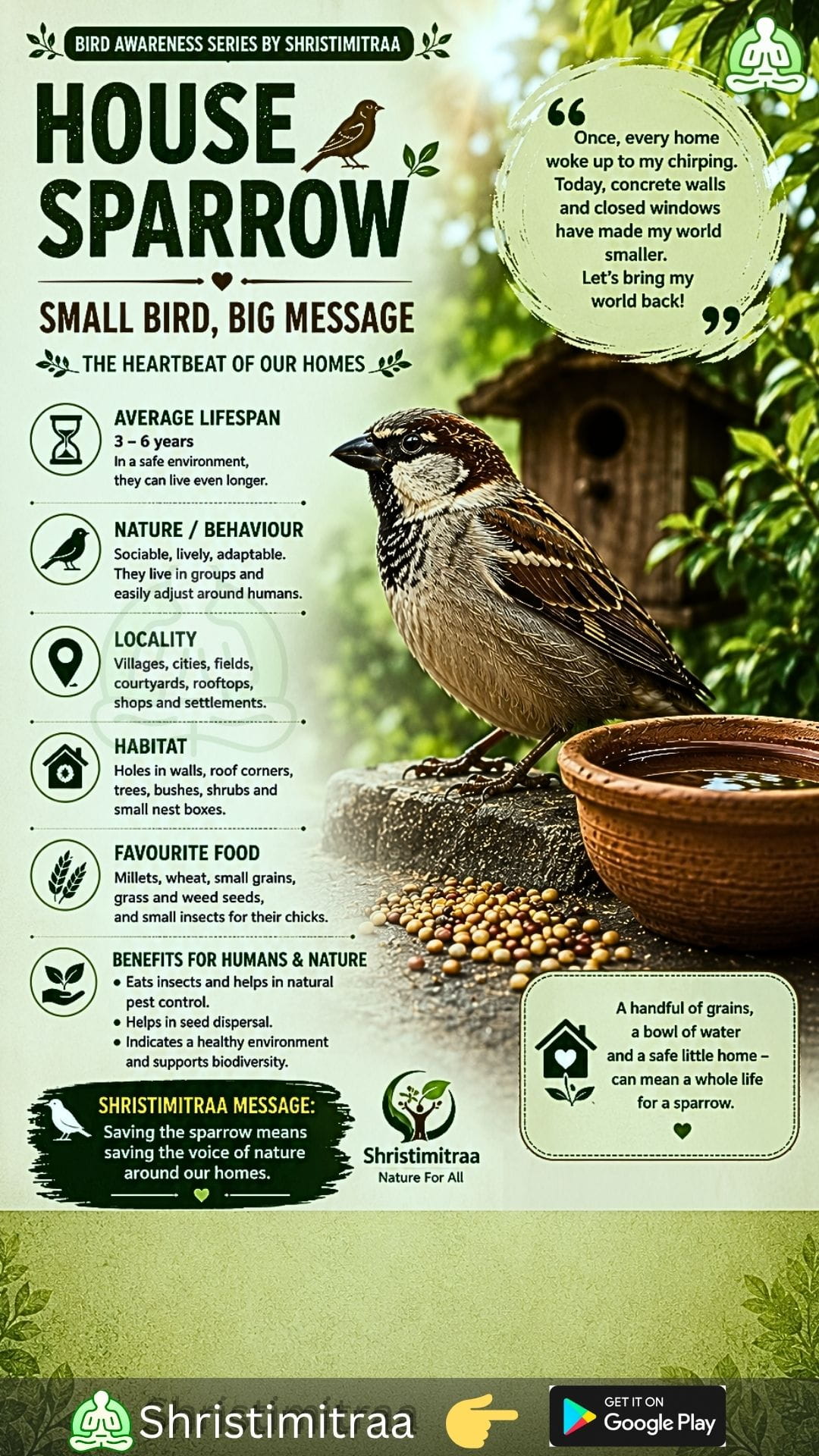 Sparrow