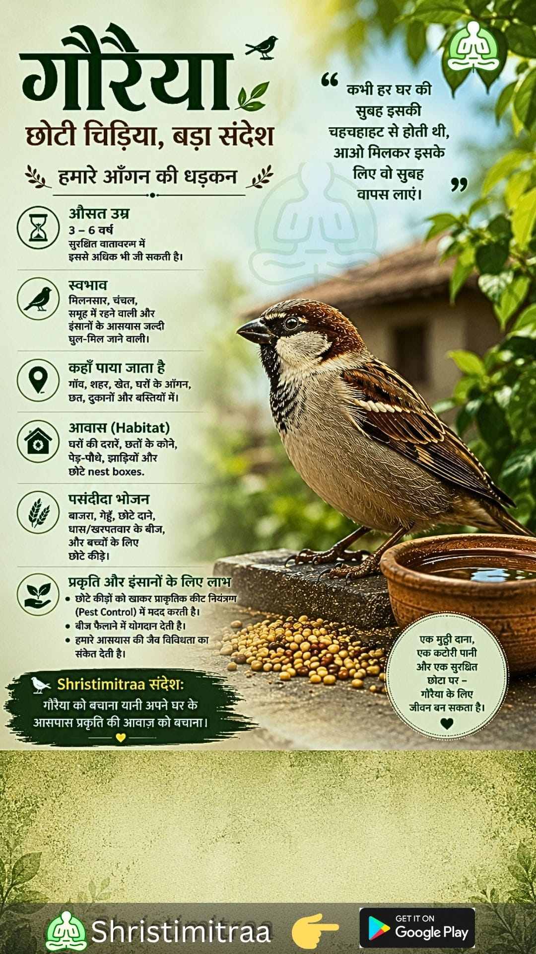 गौरैया