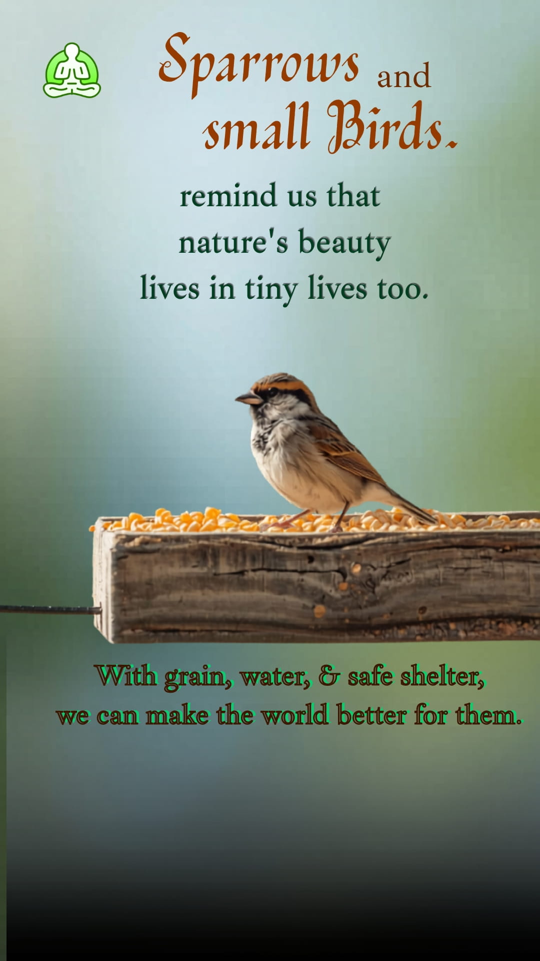 Sparrows and small birds