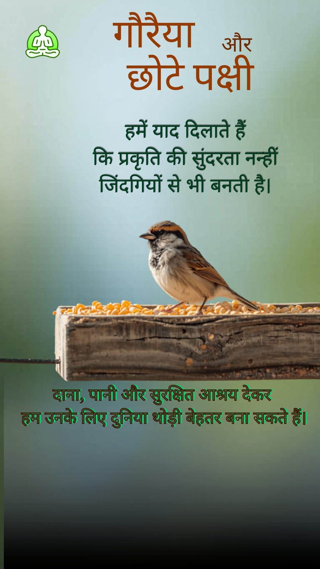 गौरैया और छोटे पक्षी