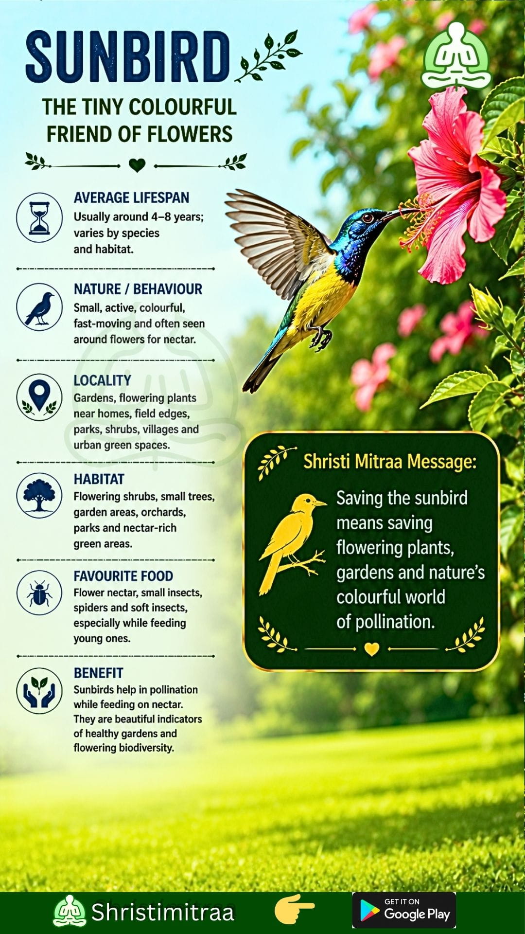 Sunbird