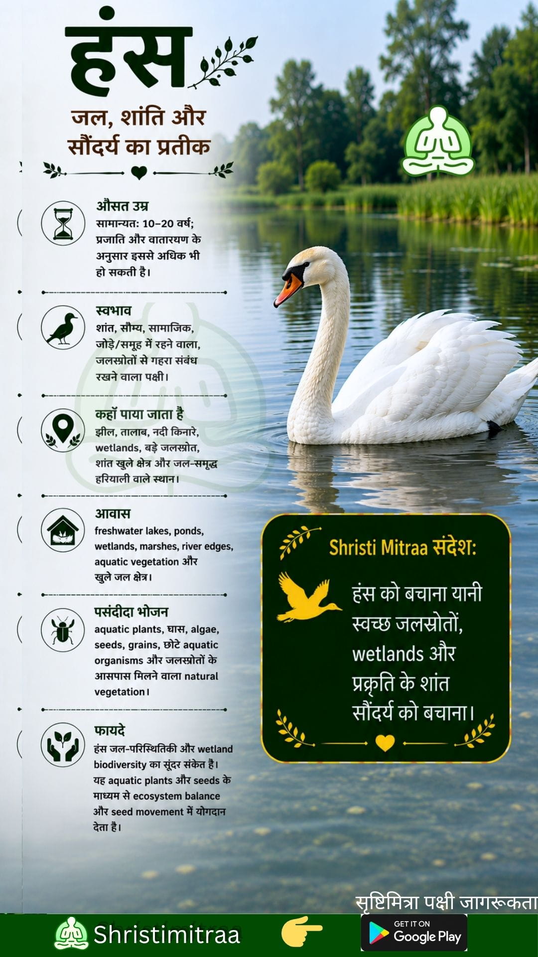 हंस