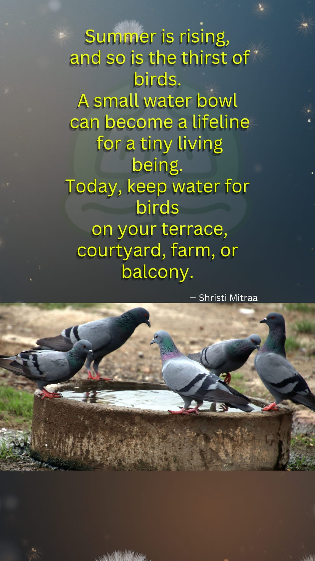 The Greatest Summer Gift — Water