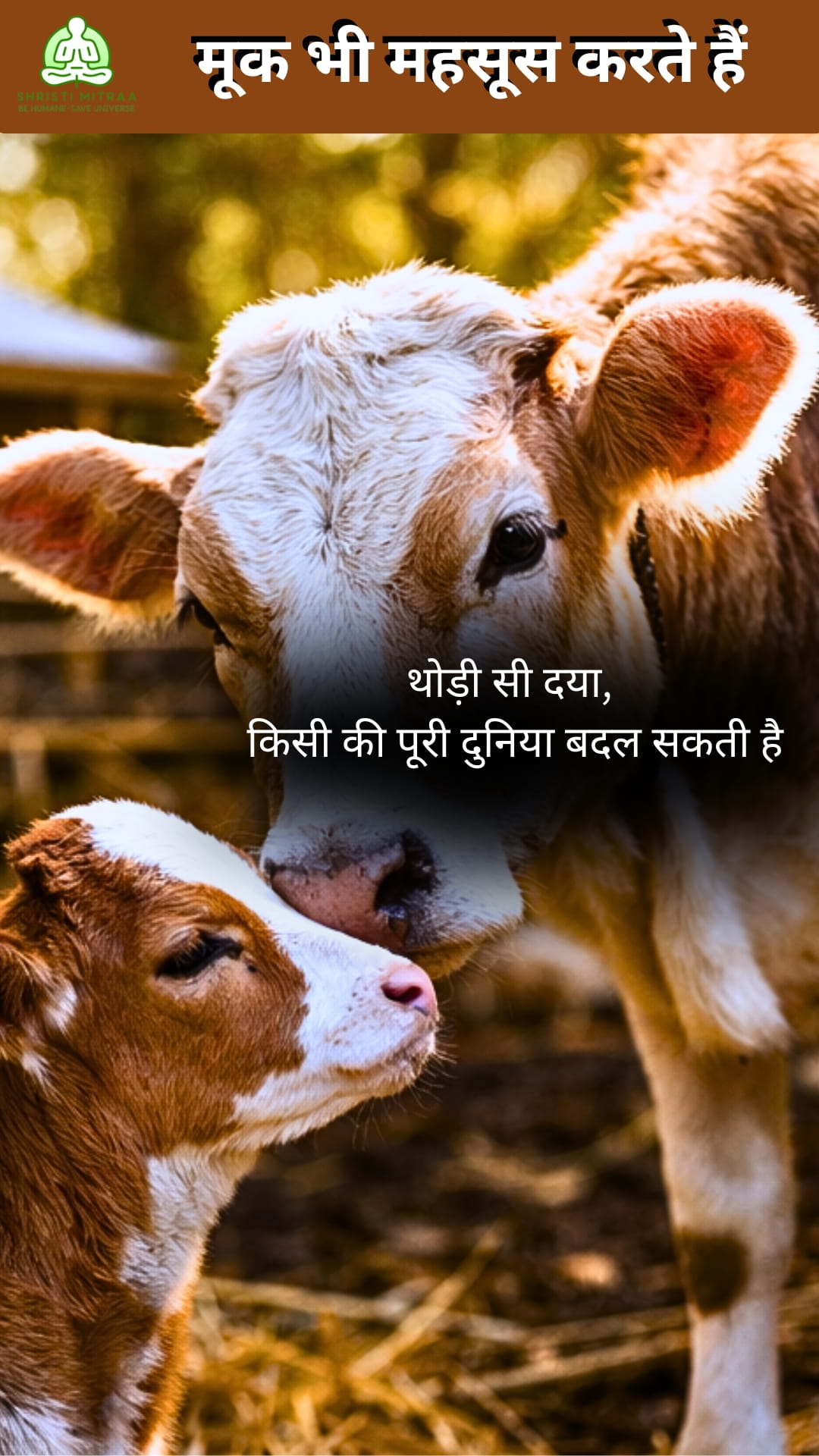 वे महसूस करते हैं