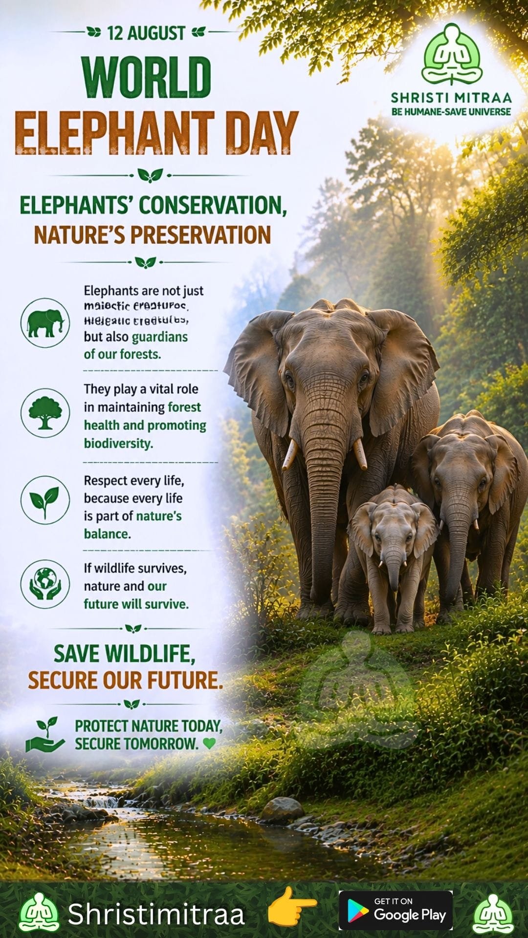 12 August - World Elephant Day